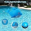 H2GLO Solar Floating Pool Lights – Dolphin Edition (2PCS)